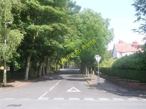 Photo 6"x4" North Park Grove - Lidgett Park Road Lidgett Park c2009