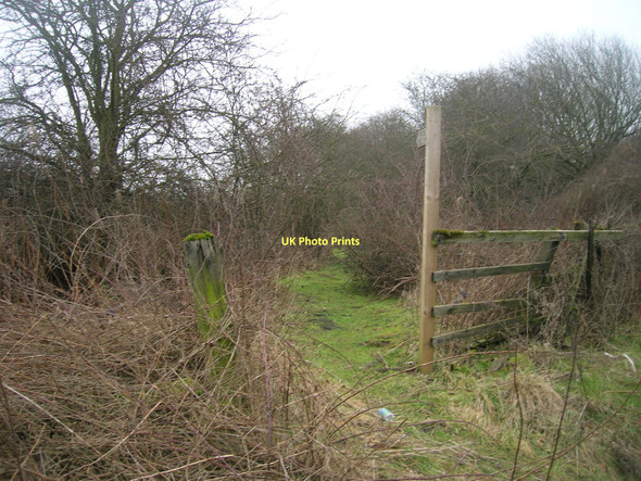 Photo 6"x4" Footpath off the A1041 Barlow\/SE6428 c2011