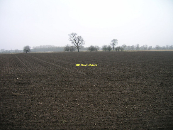Photo 6"x4" Farmland north of Mill Lane Carlton\/SE6424 c2011