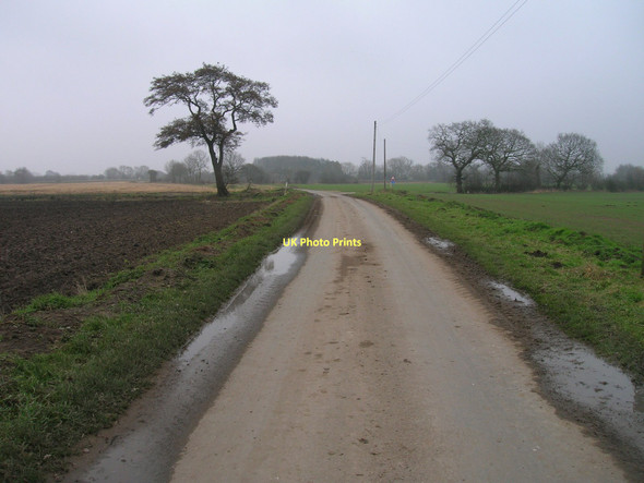 Photo 6"x4" Mill Lane heading east Carlton\/SE6424 c2011