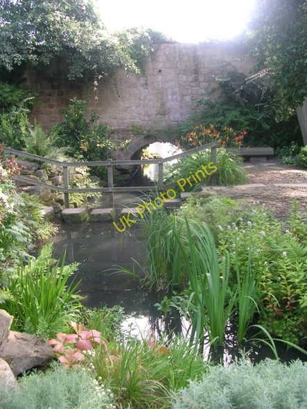 Photo 6"x4" Canal Gardens - near Old Park Road Entrance Lidgett Park c2009