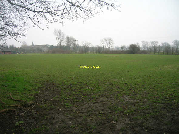 Photo 6"x4" Grazing land, Rawcliffe Rawcliffe\/SE6822 c2011