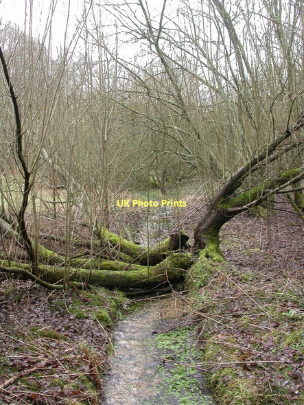 Photo 6"x4" Bleak Hill, stream Bleak Hill c2011