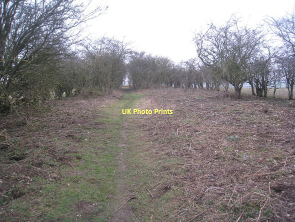 Photo 6"x4" Rabbit warren at the end of Green Lane Wetwang c2011
