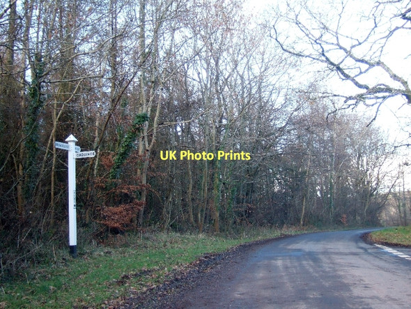 Photo 6"x4" Rews Cross in Ashclyst Forest Hollis Head c2011