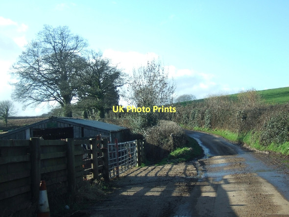 Photo 6"x4" Brook Hill Hollis Head c2011