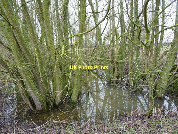 Photo 6"x4" Disappearing pond near Astol Crowgreaves c2011
