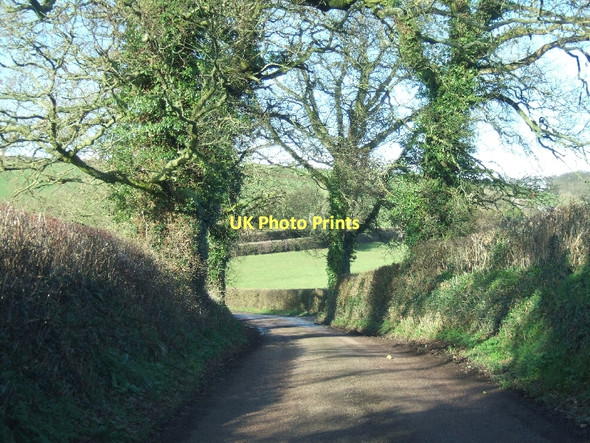 Photo 6"x4" Road north-west of Frogmore Cross Hollis Head c2011