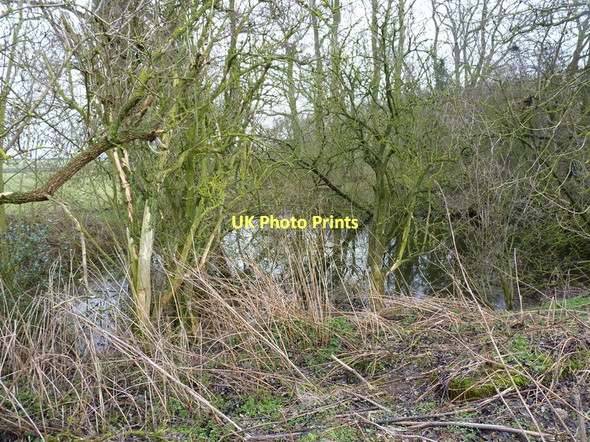 Photo 6"x4" Tiny pond at the north end of The Rookery copse Crowgreaves c2011