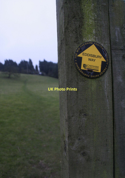 Photo 6"x4" Up The Hill Kelsall c2011
