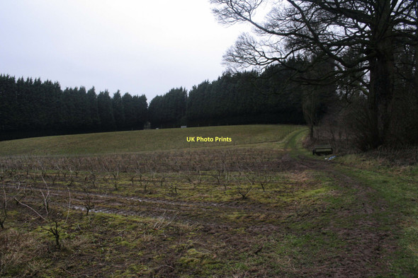 Photo 6"x4" Through The Fields Kelsall c2011