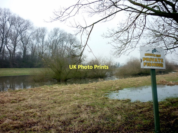 Photo 6"x4" The River Derwent south of Breighton Menthorpe c2011