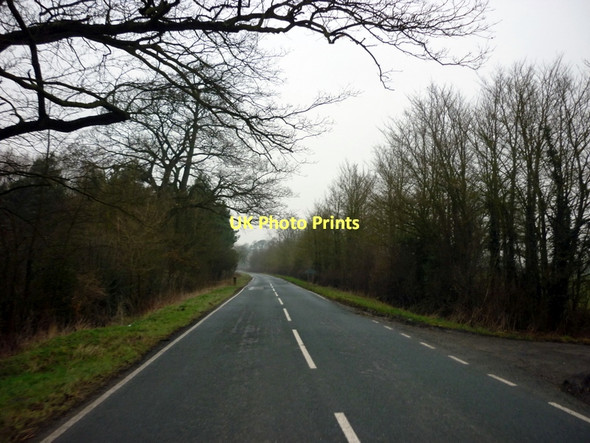 Photo 6"x4" The road to Wheldrake at Thicket Priory East Cottingwith c2011