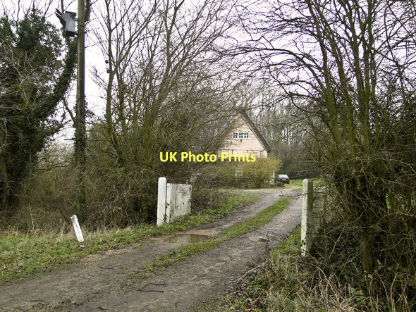 Photo 6"x4" Thatched house in the trees near Peasenhall Sibton c2011