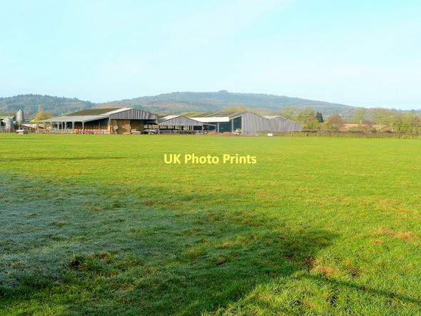 Photo 6"x4" Pasture at Merrimans Farm Taynton\/SO7321 c2011