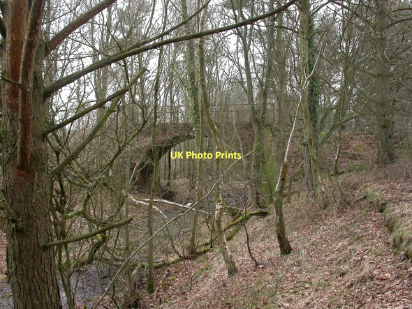 Photo 6"x4" Cripplestyle, Cow Bridge Cripplestyle c2011