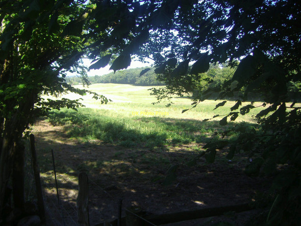 Photo 6"x4" Field by Critten Lane Wotton\/TQ1247 c2010
