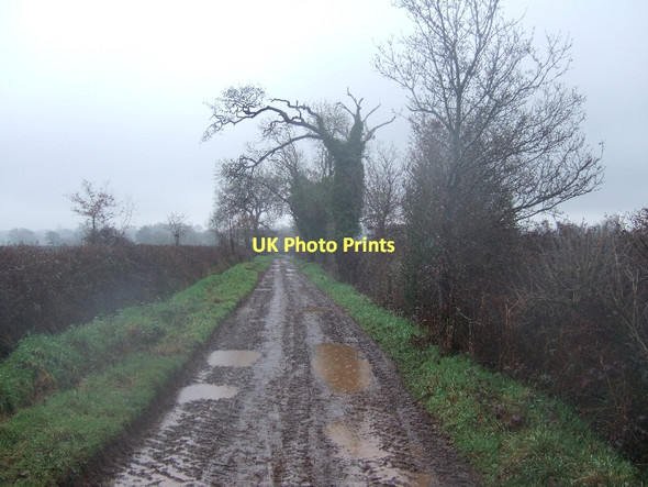 Photo 6"x4" Green Lane Nether Exe c2011