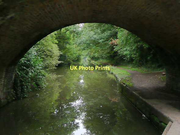 Photo 6"x4" Worcester and Birmingham Canal south-west of Hopwood Hopwood\/SP0274 c2010