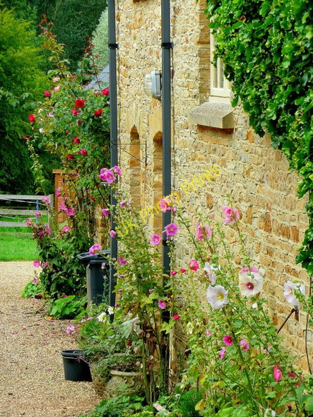 Photo 6"x4" View from St. Peter's churchyard 2 Daylesford c2009