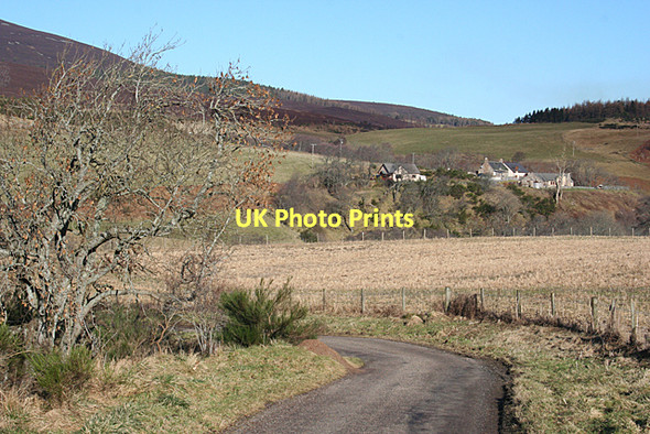 Photo 6"x4" Looking towards Convalleys Dufftown c2011