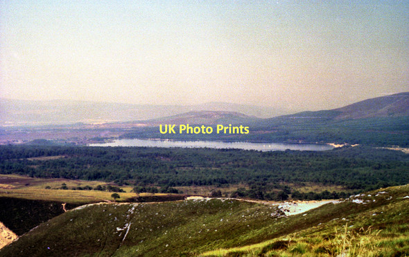 Photo 6"x4" Glen More and Loch Morlich (Summer) Reindeer Ho c1976