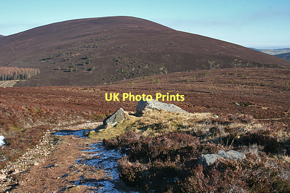 Photo 6"x4" Rock of Ages .... Benrinnes Wood c2011