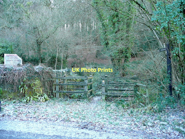 Photo 6"x4" Path into Coed Beddick Chapel Hill\/SO5200 c2010