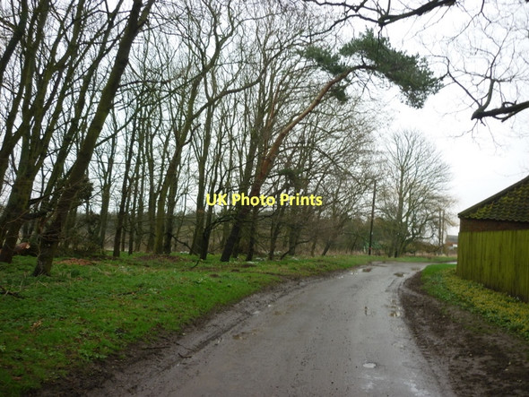 Photo 6"x4" Carlton Road at East Carlton Westhill\/TA2239 c2011