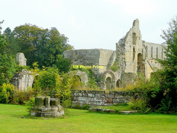 Photo 6"x4" Jervaulx Abbey ruins Ellingstring c2010