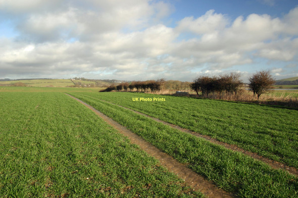 Photo 6"x4" Greenwich Meridian south of Swanborough airstrip Iford\/TQ4007 c2011