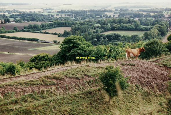 Photo 6"x4" View from Battlesbury Hill Warminster c1995