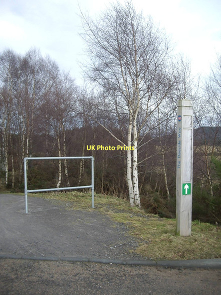 Photo 6"x4" The Deeside Way Millfield\/NO4896 c2011