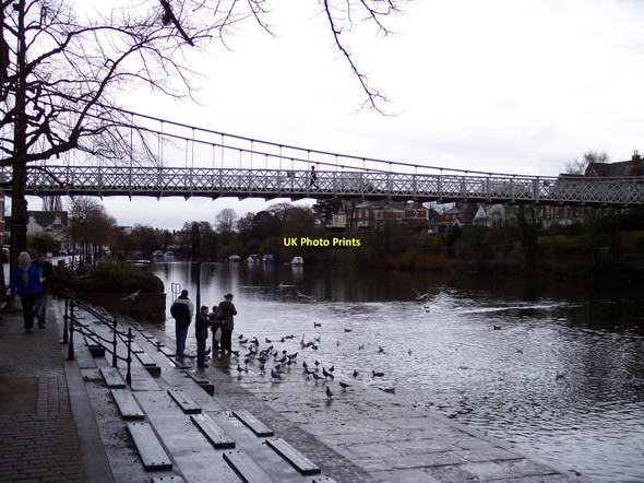 Photo 6"x4" Feeding time on the Dee Chester c2011