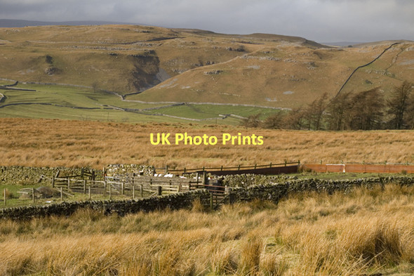 Photo 6"x4" Sheep pens on Hanlith Moor Malham\/SD9062 c2011