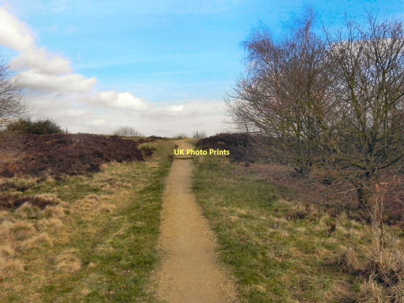 Photo 6"x4" Kersal Moor Prestwich c2011