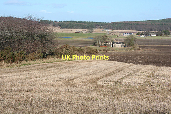 Photo 6"x4" Easter Marchhead Miltonduff c2011
