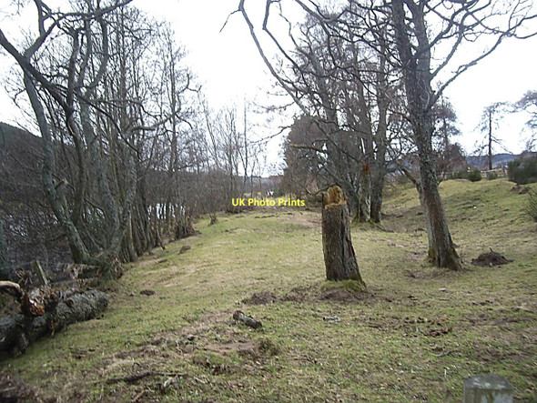 Photo 6"x4" River bank Ballater c2011