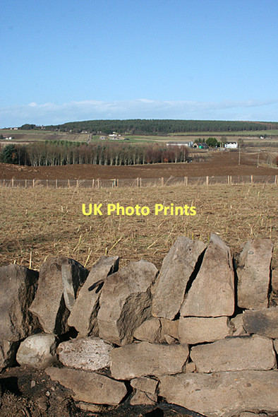 Photo 6"x4" New Alves from Garrowslack Alves c2011