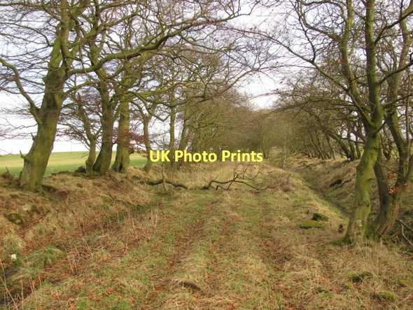 Photo 6"x4" Old track, Hyndshaw Wildmanbridge c2011