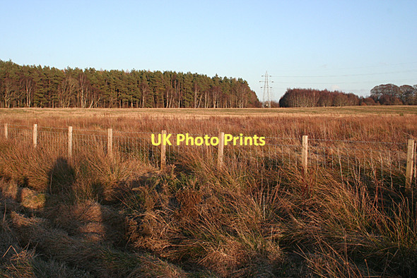 Photo 6"x4" Near Muirtown Cloddymoss c2011