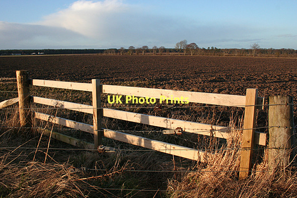 Photo 6"x4" Near Craigfield Kintessack c2011