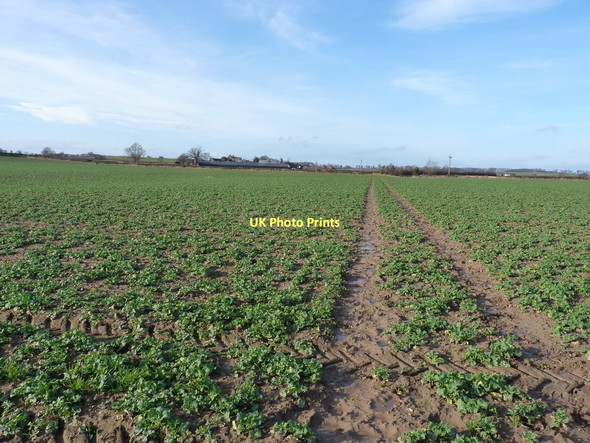 Photo 6"x4" Bridleway south of The Hollies Arkendale\/SE3860 c2011