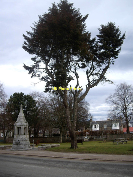 Photo 6"x4" A fine fir in Ballater Ballater c2011