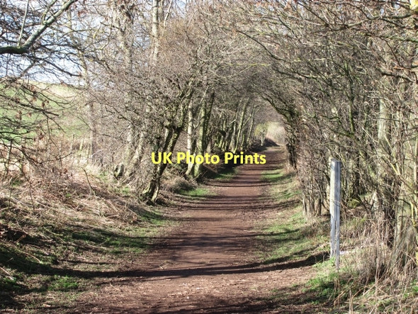 Photo 6"x4" Gifford and Garvald Railway West Saltoun c2011
