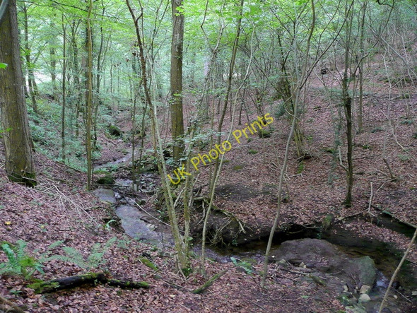 Photo 6"x4" Stream through Mailscot Wood Hillersland c2009