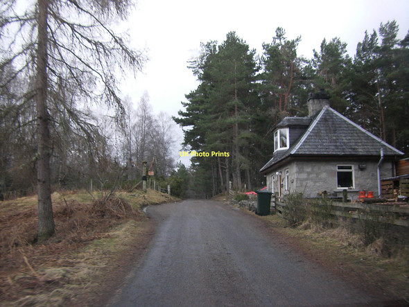 Photo 6"x4" Gate House, Abernethy Forest Tulloch\/NH9816 c2011