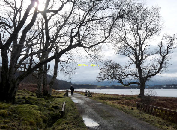 Photo 6"x4" Road round Loch Aline Lochaline \/ Loch \u00c0lainn c2011