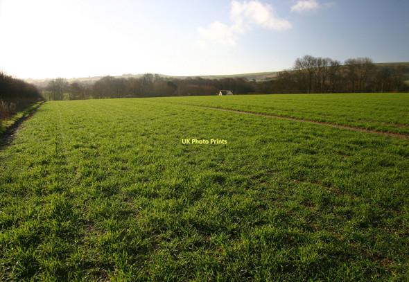 Photo 6"x4" Greenwich Meridian north of Iford Iford\/TQ4007 c2011