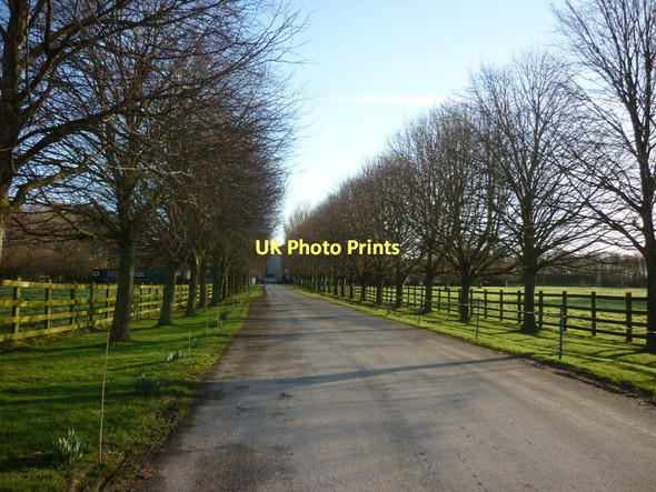 Photo 6"x4" The way to Field House Farm, north of Driffield Driffield\/TA0258 c2011